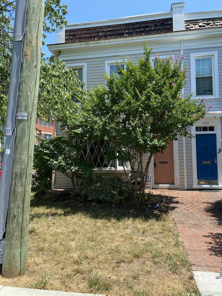 1437 Powhatan St, Alexandria, VA 22314